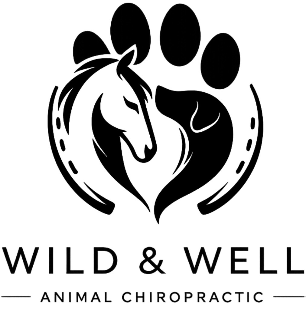 FullLogo_Transparent_NoBuffer-copy-1012x1024